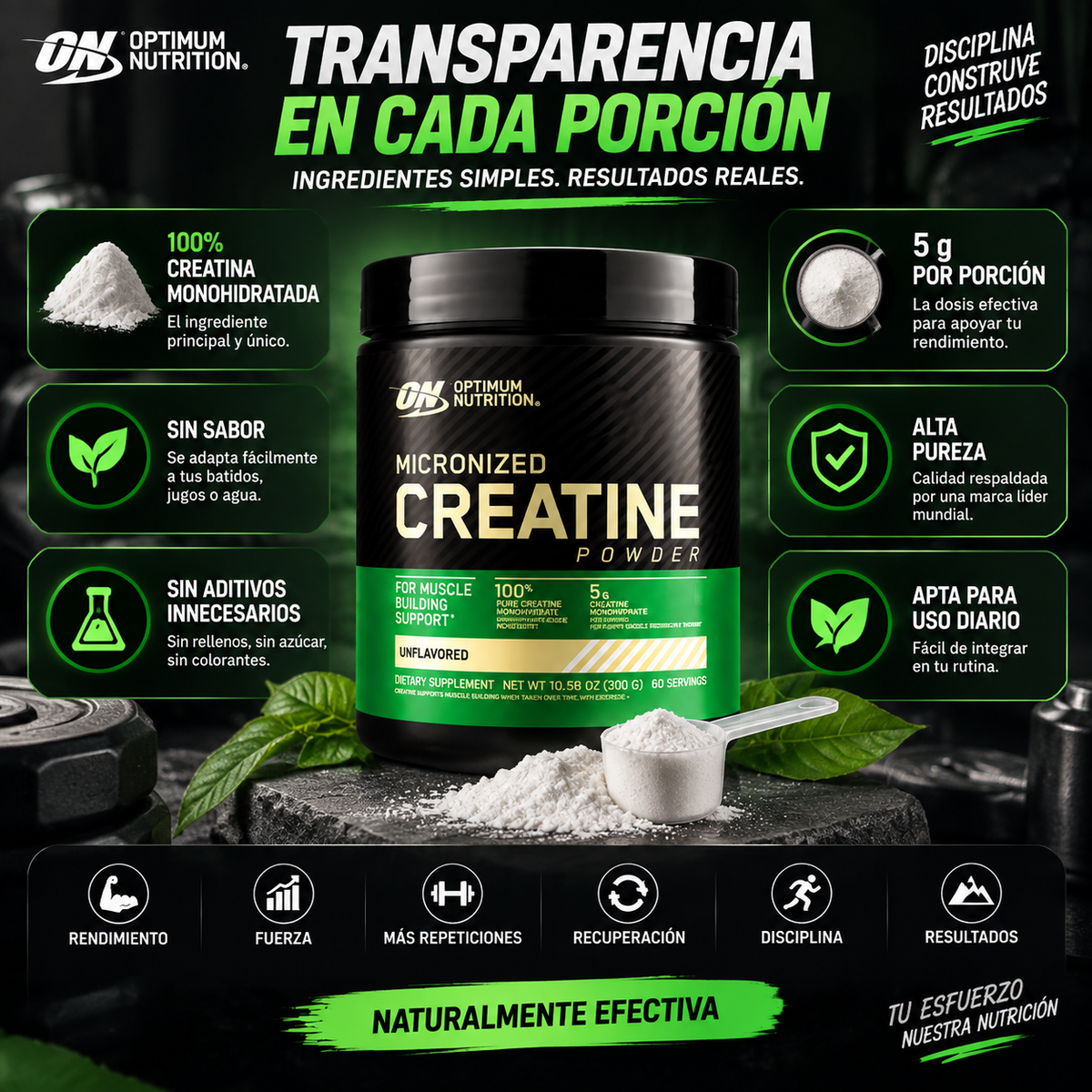 CREATINA MICRONIZADA 100% PURA Aumenta tu fuerza, mejora tu rendimiento y apoya el crecimiento muscular